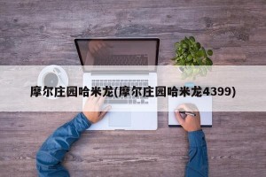 摩尔庄园哈米龙(摩尔庄园哈米龙4399)